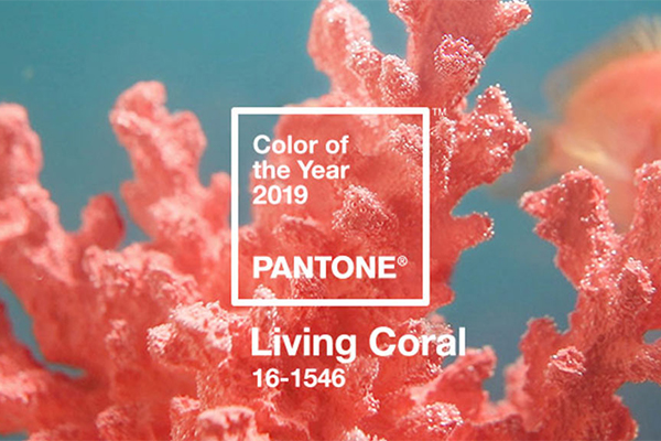 Cor do Ano Pantone - Lexus Groupe